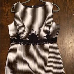 The Limited Dress. New with tag